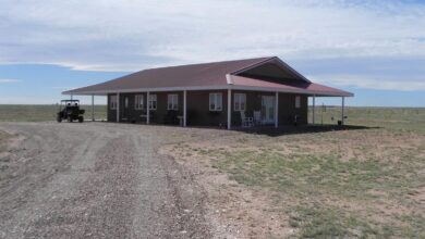 Property photo: 204 House Cap Rd, Fort Sumner, NM 88119